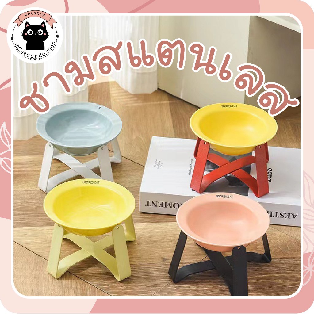 🌵 ชามโครงเหล็ก 1หลุม ชามให้อาหารแมว ชามให้อาหารสุนัข ชามโครงเหล็ก 1หลุม น่ารัก Minimal + พร้อมถ้วย ชามแมวยกสูง 🌵