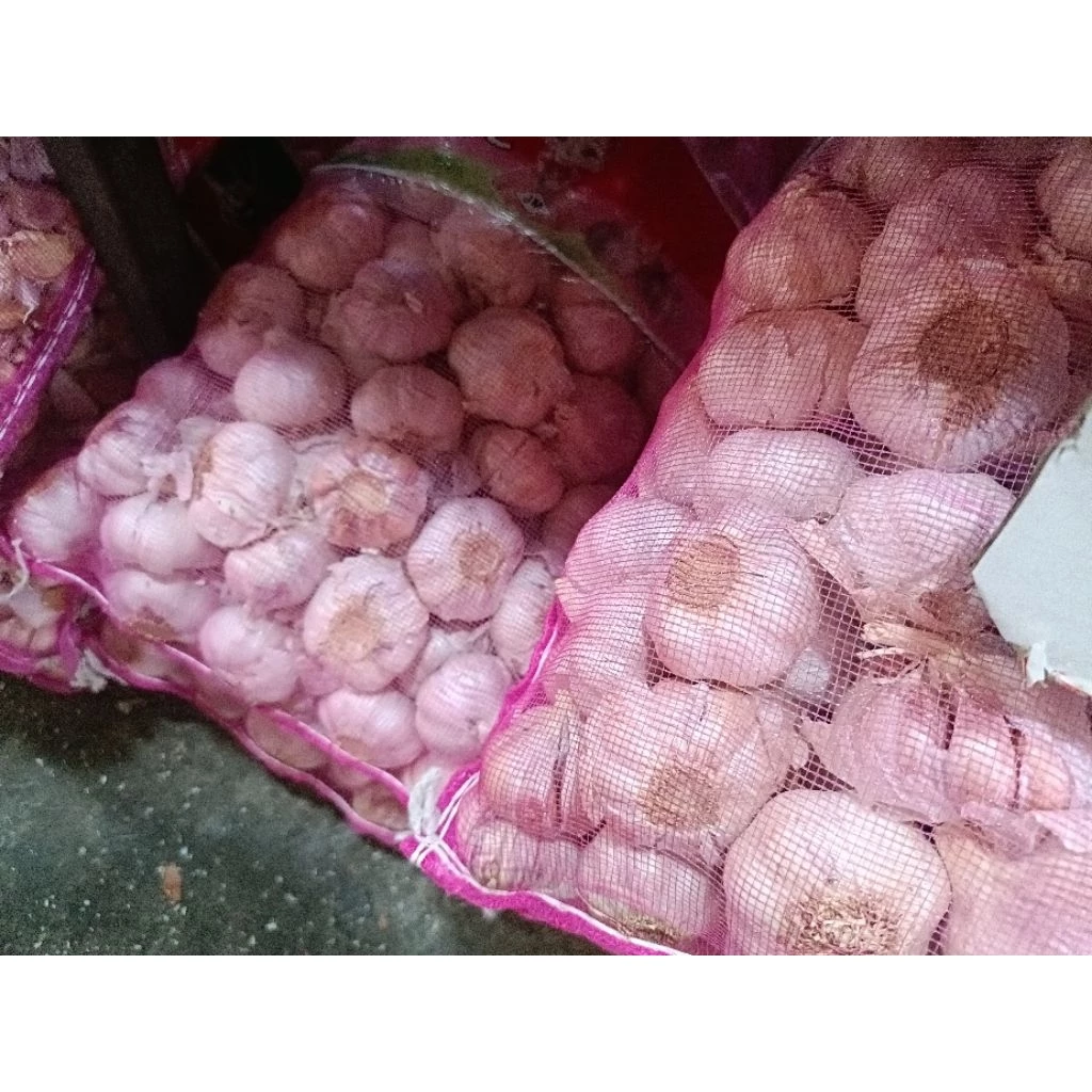 กระเทียมจีนหัวใหญ่ๆ ราคาขึ้นลงตามตลาด