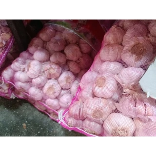 กระเทียมจีนหัวใหญ่ๆ ราคาขึ้นลงตามตลาด