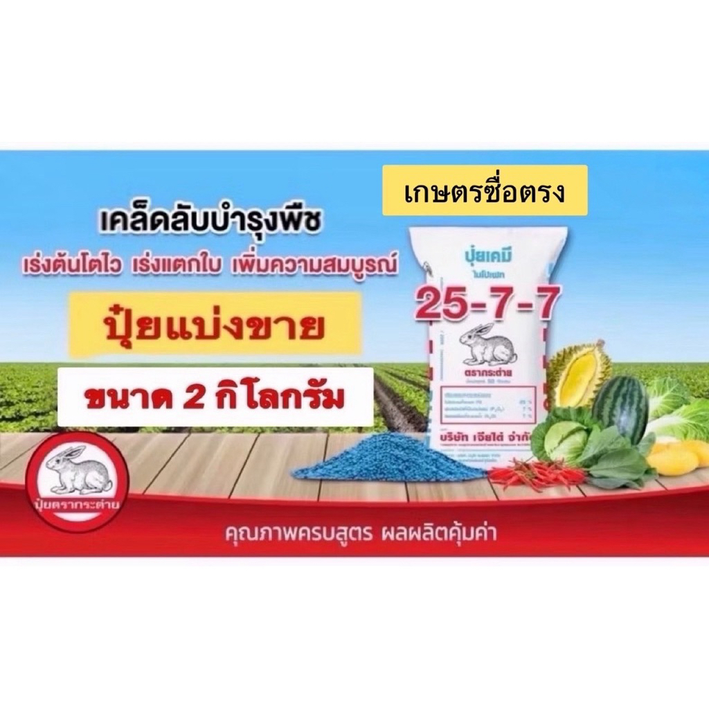 ปุ๋ยตรากระต่าย สูตร 25-7-7 เม็ดสีฟ้า แบ่งขาย 2 กิโลกรัม  เร่งให้โตไว ใบงาม รากแข็งแรง