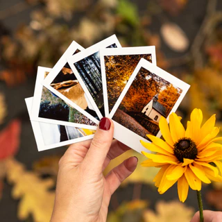 (ส่งด่วนกทม.) Fujifilm Instax mini instan Film - Blank (10 แผ่น/กล่อง ) สินค้าล็อตใหม่ของแท้ 100%