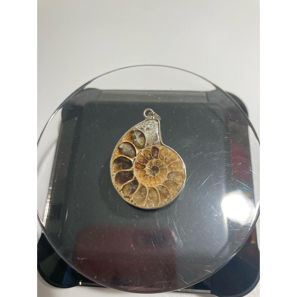 จี้ฟอสซิลแอมโมไนต์ (Ammonite fossil ) เลี่ยมเงิน พร้อมส่ง
