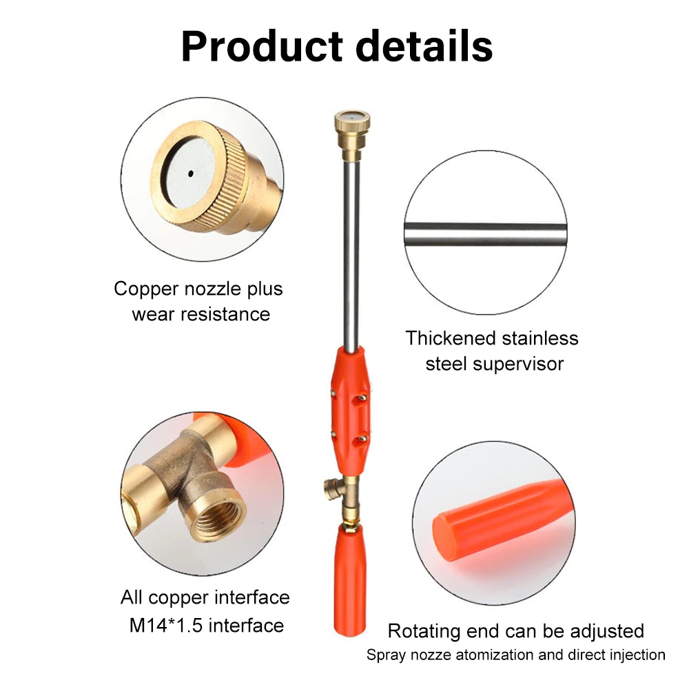 รูปภาพ 2