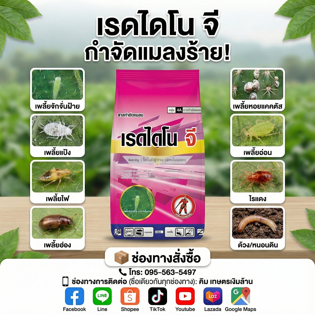 [ส่งฟรี]เรดไดโน จี ไดโนทีฟูแรม 1% GR(กลุ่มเดียวกับสตาร์เกิ้ลจี) By.คิม เกษตรเงินล้าน
