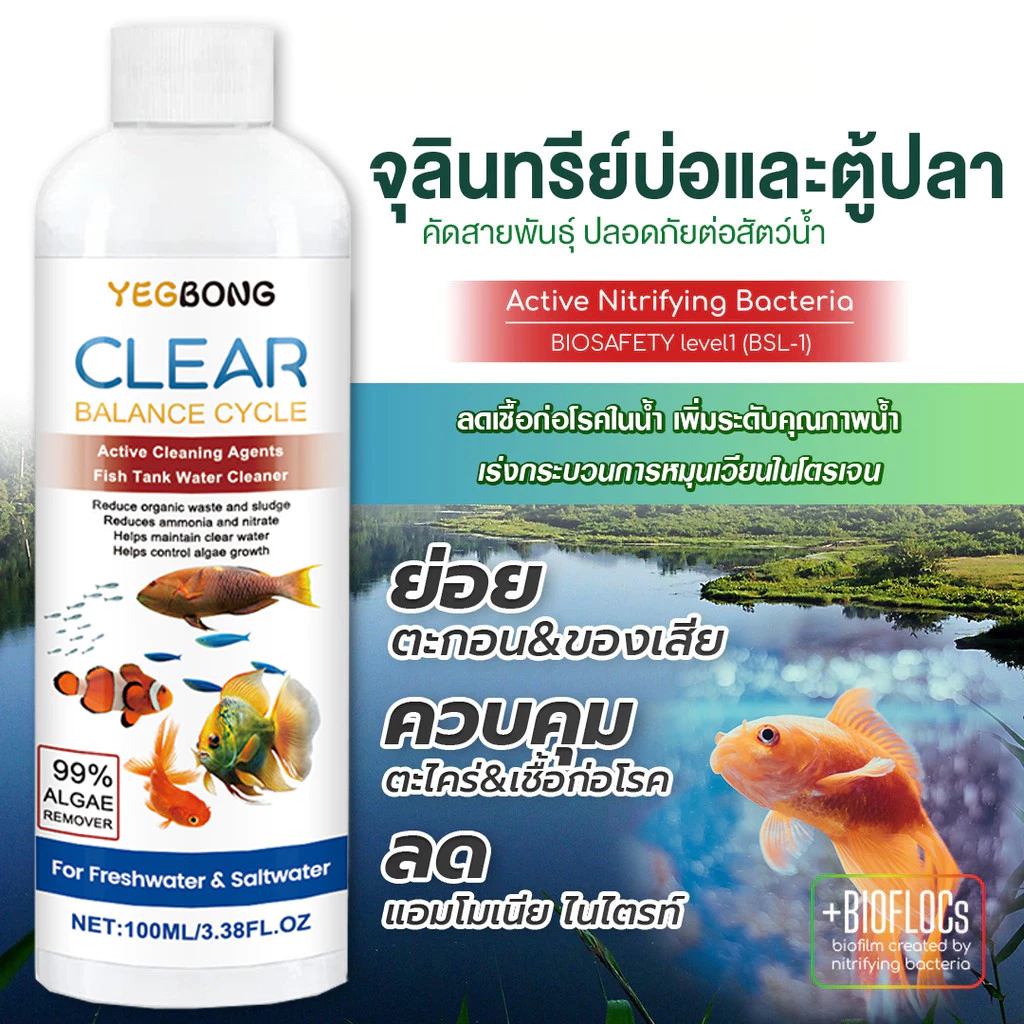 จุลินทรีย์ แบคทีเรีย บ่อปลา ตู้ปลา น้ำใส ลดตะไคร่ ย่อยของเสีย ลดกลิ่น Living Inside