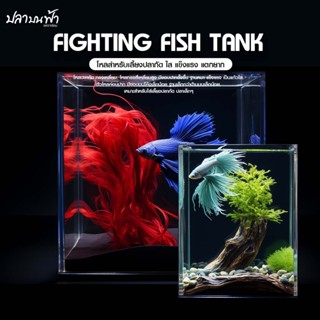 โหลปลากัด กระจกใส ตู้ปลากัด ตู้เลี้ยงปลาขนาดเล็ก ตู้ไม้น้ำขน…
