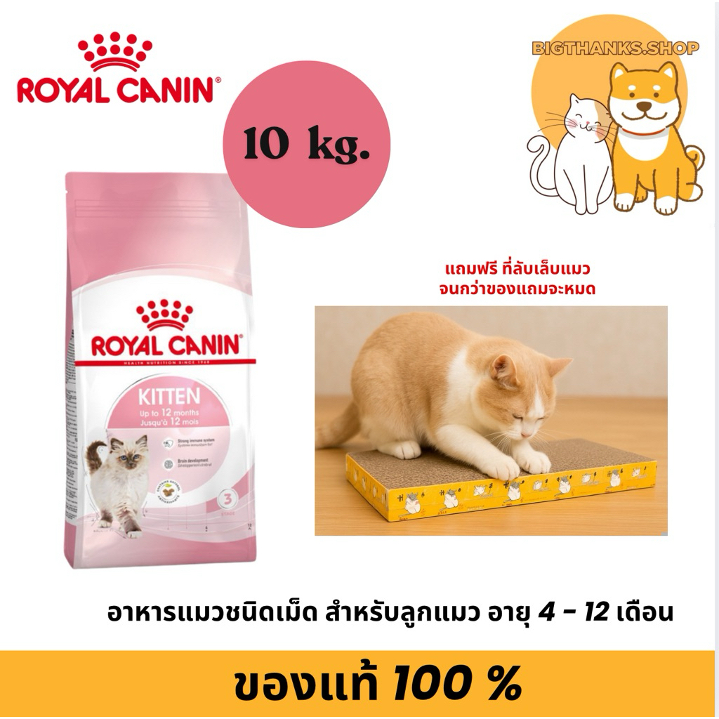 Royal canin Kitten 10 kg. สำหรับลูกแมว อายุ 4 - 12 เดือน (ถุงสีชมพู)