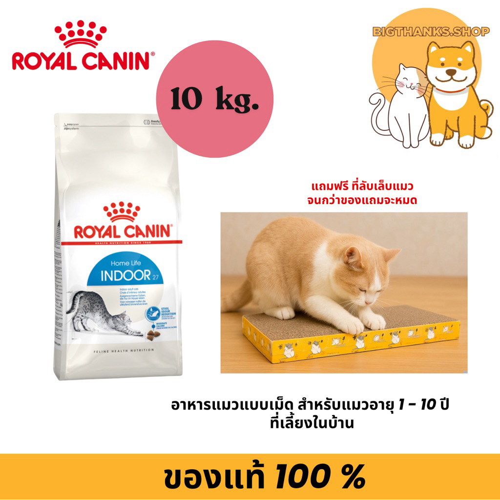 (( แถมฟรี ที่ลับเล็บแมว )) Royal Canin Indoor cat 10 kg. อาหารแมวโตเลี้ยงในบ้าน อายุ 1 ปีขึ้นไป