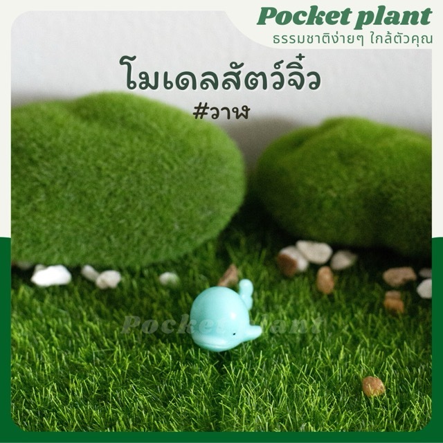 มุมมอง 6