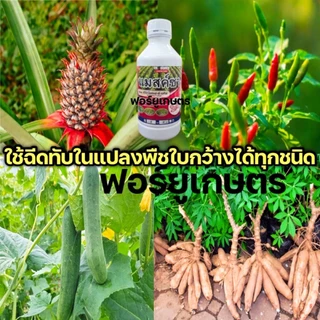 ส่งไว แมสค์ซา ควิซาโลฟอบ-พี-เอกิล ควิซาโลฟอป กำจัดหญ้า วัชพืช หญ้าใบแคบ หญ้าปากควาย ขนาด 1 ลิตร