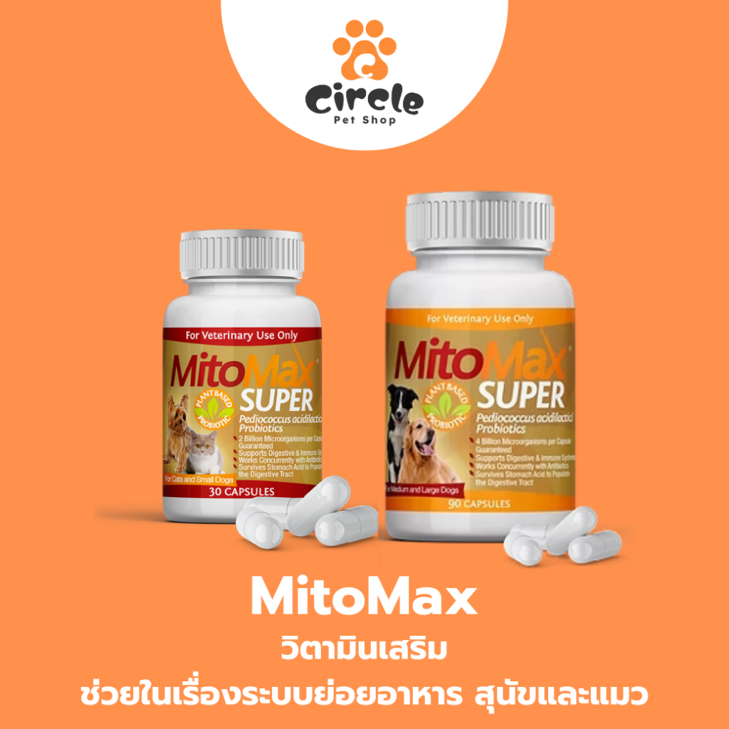 [สินค้าขายดี][30 เม็ด] MitoMax Super Small and Medium-Large อาหารเสริมบำรุงระบบย่อยอาหาร สำหรับสุนัขและแมว