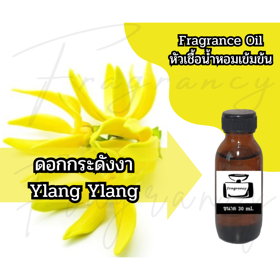 หัวน้ำหอมเข้มข้น 100% กลิ่น ดอกกระดังงา Ylang Ylang (Fragrance Oil - No Alcohol)