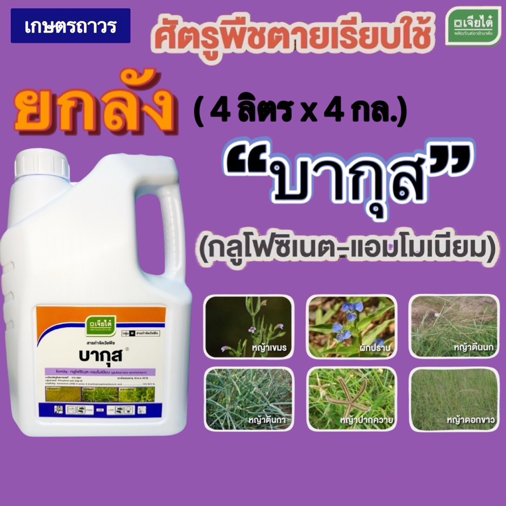 บากุส  ยกลัง (ขนาด 4 ลิตร x4แกลลอน) จากเจียไต๋ สารกำจัดวัชพืชออกฤทธิ์เผาไหม้ กำจัดหญ้าทุกชนิด