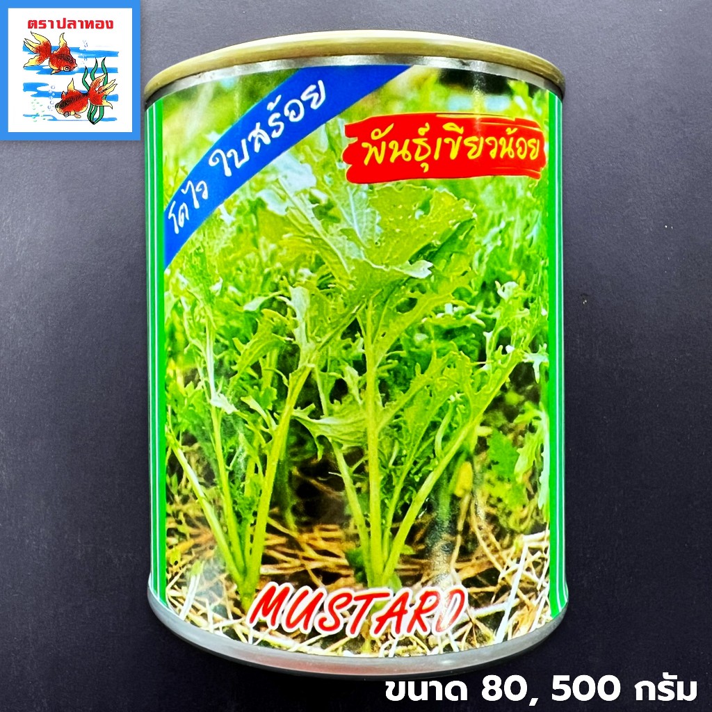 เมล็ดผักกาดเขียวน้อย ใบสร้อย ผักกาดหิ่น ผักกาดสร้อย กระป๋อง ขนาด 80,500 กรัม ตราปลาทอง