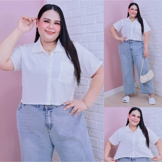 [ ส่งฟรี 🔥 ] A342/A442 Candy Crop เสื้อครอปแขนสั้นสาวพลัสไซส์ ครอปสาวอวบ (อก : 46-60“)