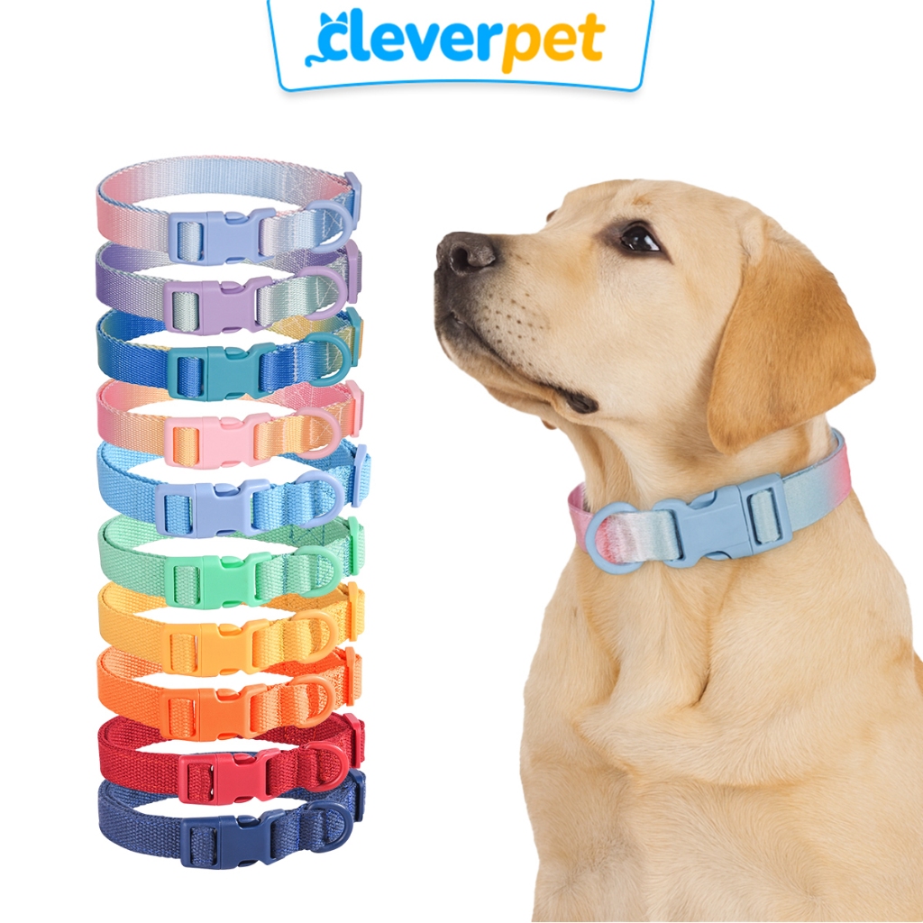 [ส่งฟรี🇹🇭] CleverPet ปลอกคอสุนัข สีพาสเทล ปลอกคอสัตว์เลี้ยง ปลอกคอแมว สายจูงสุนัข Dog Collar