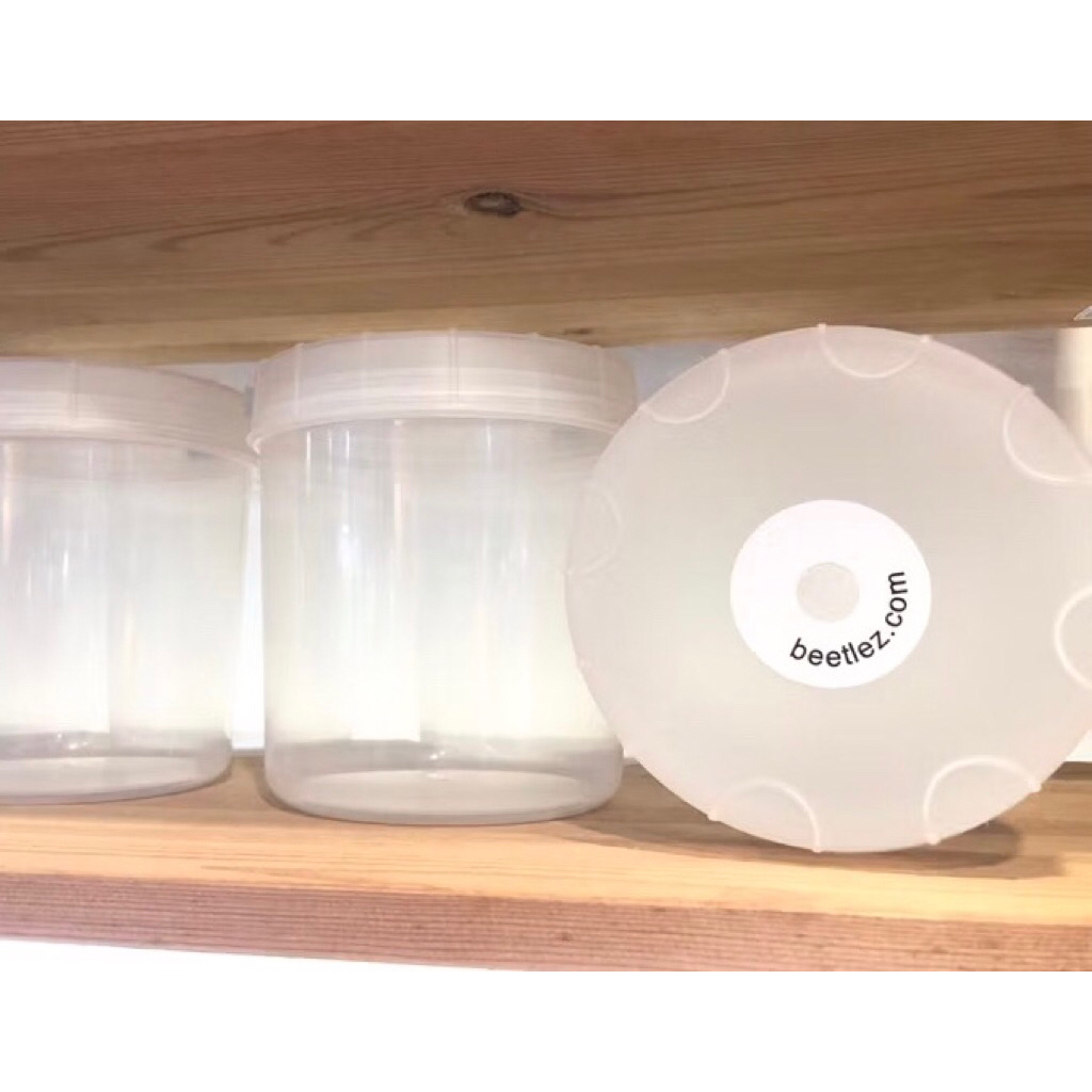 ✨กระปุกพลาสติก 1800 ml เจาะรู สำหรับเลี้ยงหนอนกว่างขนาดเล็ก🎖