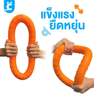[ส่งฟรี🇹🇭] CleverPet ของเล่นสุนัข ห่วงยางกัดสุนัข ไซส์จัมโบ้ ช่วยขัดฟัน ของเล่นหมา Ring Dog Toy