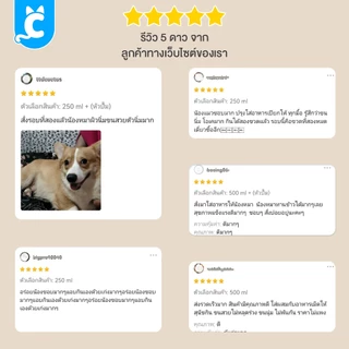 [ส่งฟรี🇹🇭] Pari น้ำมันปลาแซลมอน ลดขนร่วงบำรุงขน ช่วยเจริญอาหารสำหรับสุนัขและแมว CleverPet