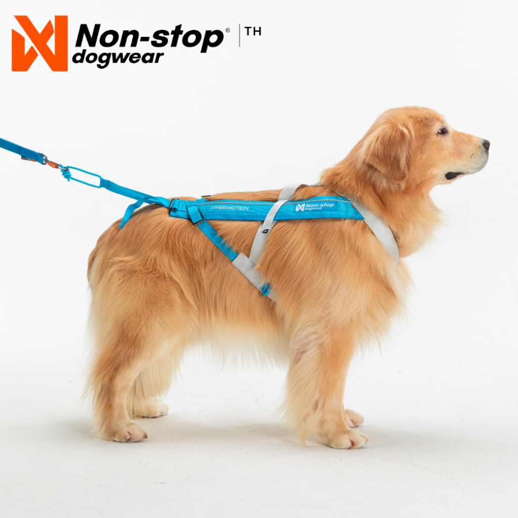 Non-stop dogwear Freemotion Harness 5.0 สายรัดอกสุนัขสำหรับวิ่ง รุ่นฟรีโมชั่น 5.0