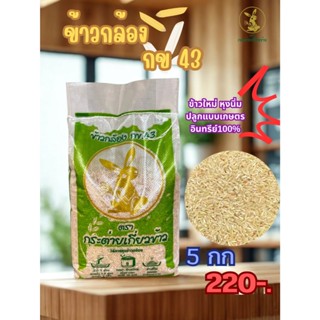 ข้าวกล้องกข43 กระสอบ 5 กก 220 บาท ข้าวใหม่ไม่ใช้สารเคมี