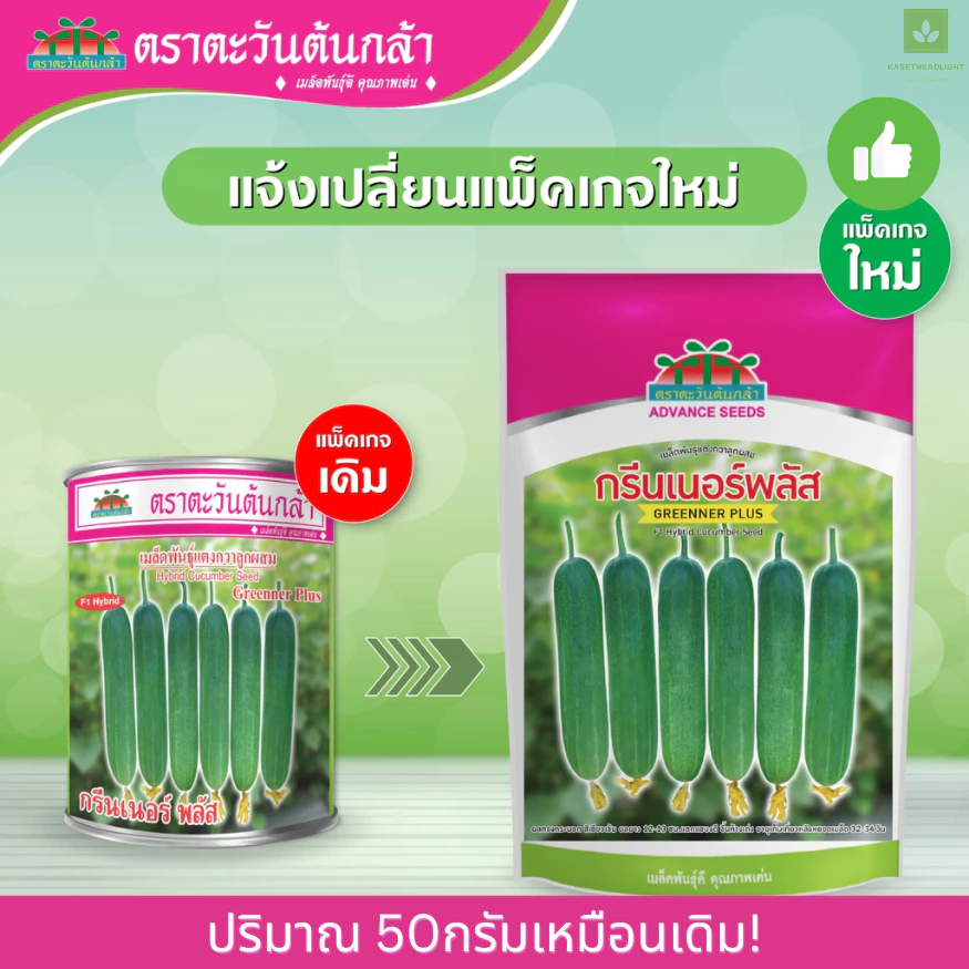 กรีนเนอร์พลัส เมล็ดพันธุ์แตงกวา 50กรัม ตะวันต้นกล้า แตงกวากรีนเนอร์