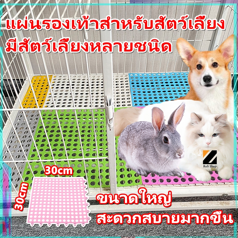 แผ่นรองกรง กันลื่น แผ่นรองพื้นกรง แผ่นรองกรงสัตว์เลี้ยง PVC 30x30 จัดส่งจากประเทศไทย