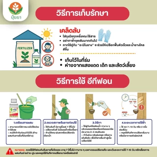อะมิโนยาง ฟ้าอรุณ [ขนาด 500cc] — เฉพาะสำหรับยางพาราโดยตรง ฟื้นฟูต้นยางโทรม เปลือกแข็ง กรีดยาก น้ำยางมีเปอร์เซ็นต์ต่ำ