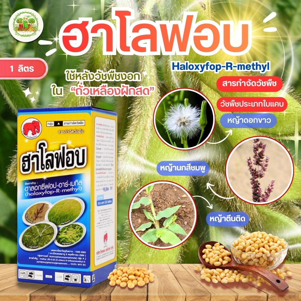 ฮาโลฟอบ ฮาลอกซีฟอบ-อาร์-เมทิล #กาลแล็นท์ สารกำจัดกำจัดวัชพืชใบแคบ #ไทออน