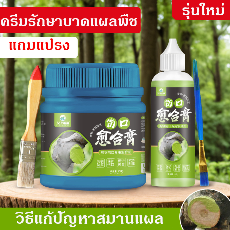 สมานแผลต้นไม้  เคลือบแผลต้นไม้ ทาแผลต้นไม้ แถมฟรีแปรงทา 500 ml