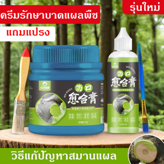 สมานแผลต้นไม้  เคลือบแผลต้นไม้ ทาแผลต้นไม้ แถมฟรีแปรงทา 500 …