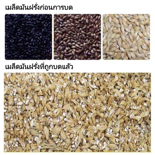 เครื่องบดธัญพเครื่องบดข้าวโพด มือหมุน ขนาด1ลิตร ฮอนฮิลล์เครื่องบดธัญพืชแบบพกพาคู่มือเครื่องบดตารางข้าวโพดเครื่องทำแป้งข้