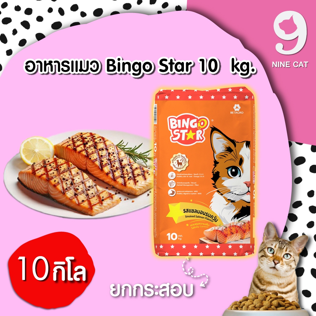 บิงโก สตาร์ อาหารแมว 3 มิกซ์ รสแซลมอนรมควัน 10 กก. Bingo Star Smoked Salmon โปรตีนสูง 28% บำรุงขนสวย