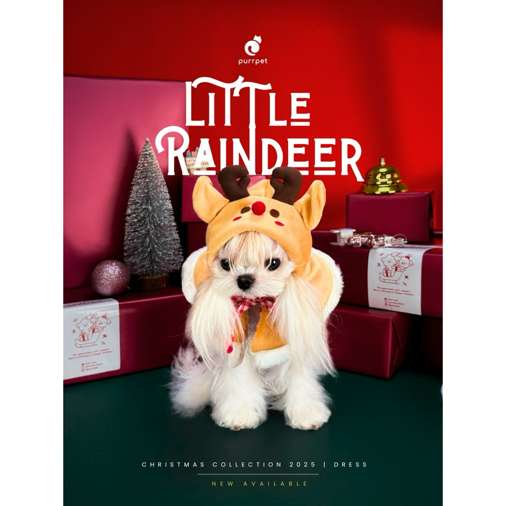 Little Raindeer - Christmas Collection Purrpet