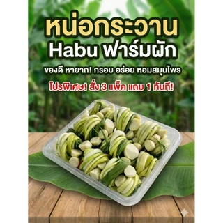 หน่อกระวานสด สำหรับทำอาหาร 1 มัด (ประมาณ3หัว) (ประมาณ200-300กรัม)