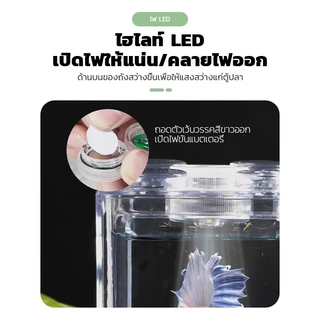 🔥ตู้ปลาขนาดเล็ก โหลปลากัด ตู้ปลาเลโก้ พร้อมไฟ LED เพิ่มความสวยงาม มี3สีให เหมาะสำหรับสัตว์เลี้ยงขนาดเล็กทุกชนิด