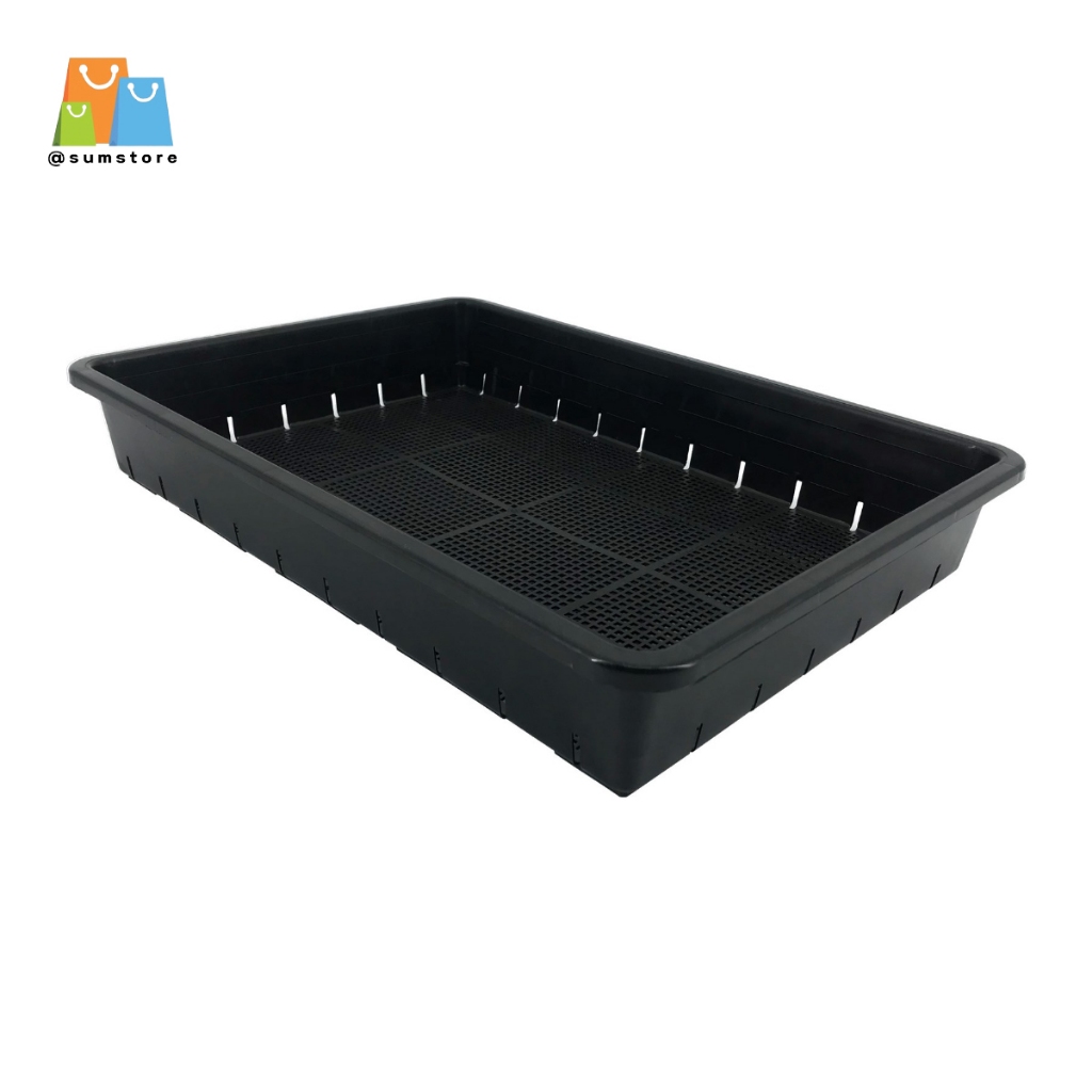 ถาดเพาะใหญ่ ขนาด 35.5x55.5x8 cm รุ่น B-1111