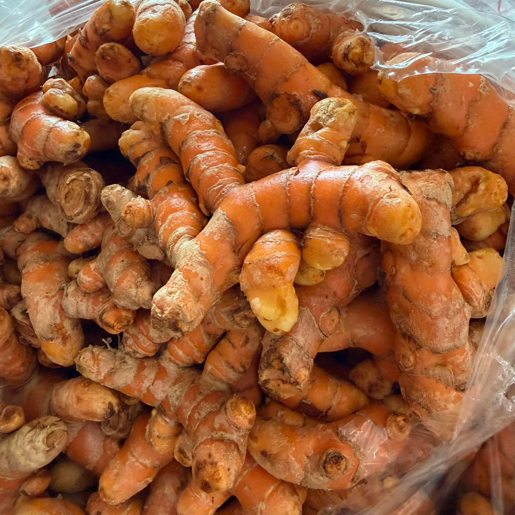 ขมิ้นชันสด เกรดสวย ล้างสะอาด หัวใหญ่ พร้อมส่ง ขนาด 1kg