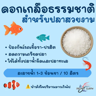 🌸 ดอกเกลือสำหรับการเลี้ยงปลาสวยงาม