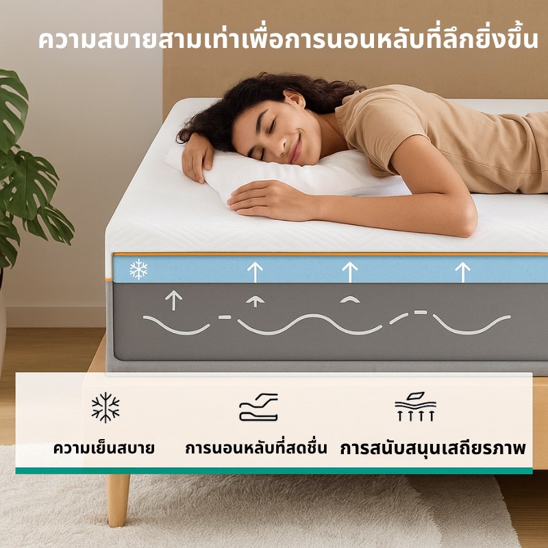 FLM ที่นอนยางพารา ขน