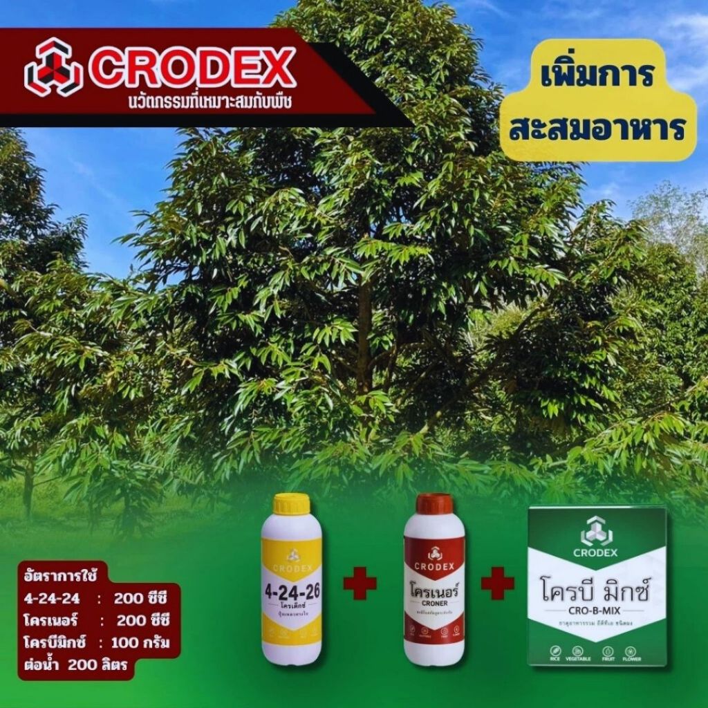 โครเด็กซ์4-24-26 ขนาด 1 ลิตร เร่งดอก กระตุ้นการออกดอก ช่วยให้ดอกสมบูรณ์ เพิ่มความหวาน ช่วยในการออกดอกนอกฤดู. - รูปที่ 2