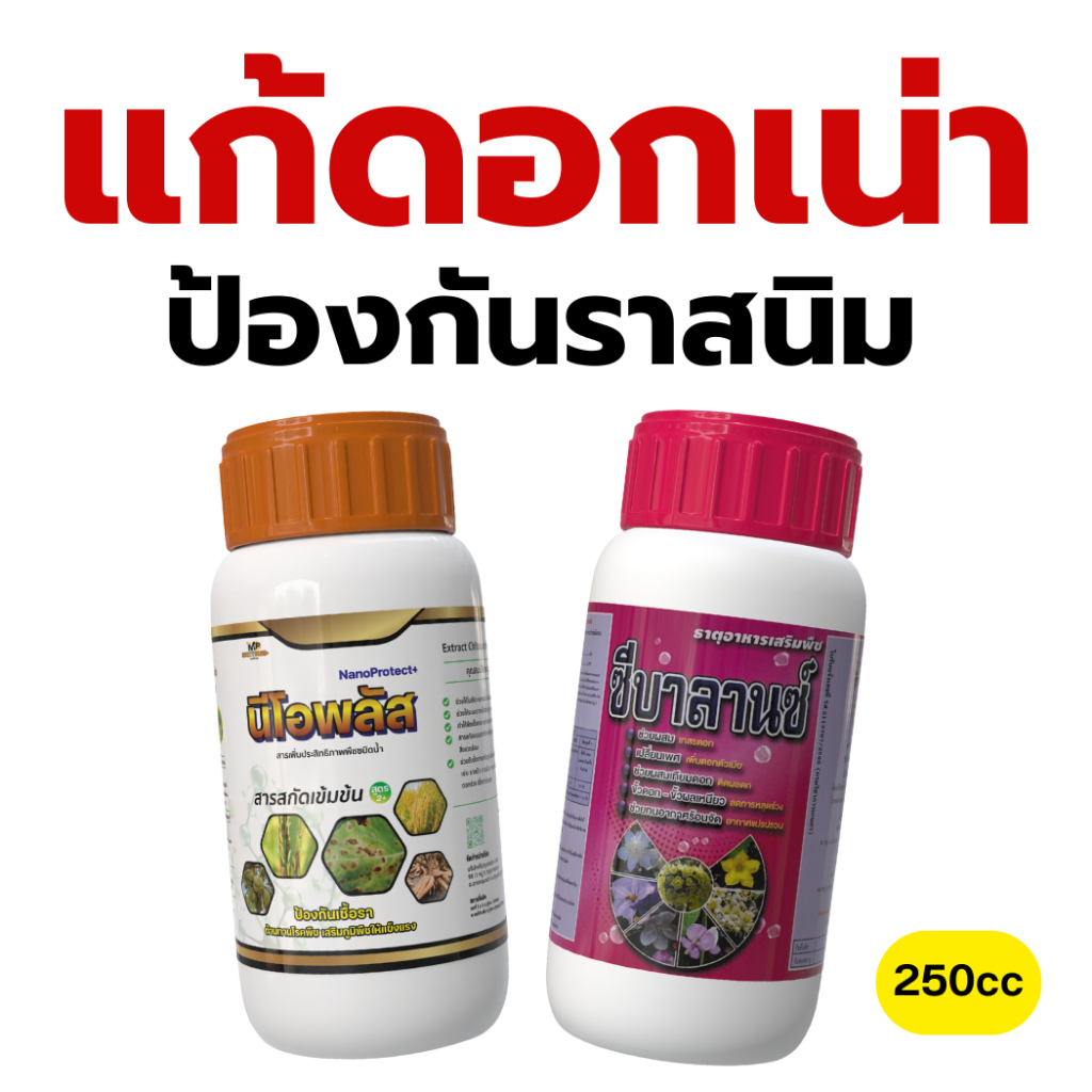 เซตเกราะป้องกันเชื้อรา ดอก–ผลไม่เน่า ใช้ได้ทุกระยะ โดยเฉพาะช่วงฝนชุกหรือความชื้นสูง ป้องกันราสนิม