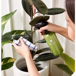 [ งดจำหน่าย สินค้าแถม 🔥 ] เฌอบา อาหารเสริมต้นไม้ เคลือบผิวใบ…