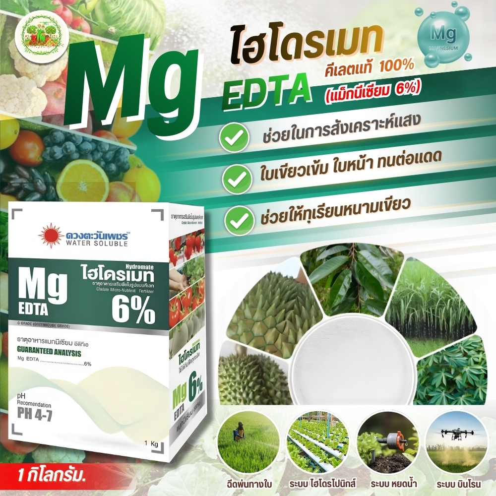ปุ๋ยคีเลต แม็กนีเซียม  (Mg)6% Mg-EDTA ช่วยป้องกันรักษาอาการขาดธาตุแมกนีเซียม ดวงตะวันเพชร