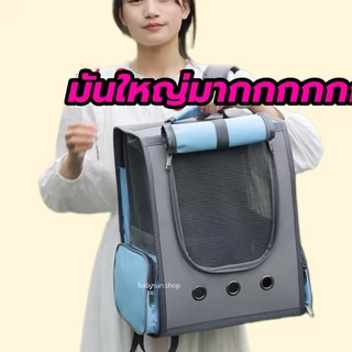 กระเป๋าเป้สัตว์เลี่ยง ใบหญ่มาก กระเป๋าแมว เป้น้องหมา กระเป๋าสุนัข กระเป๋าเลี้ยงสัตว์