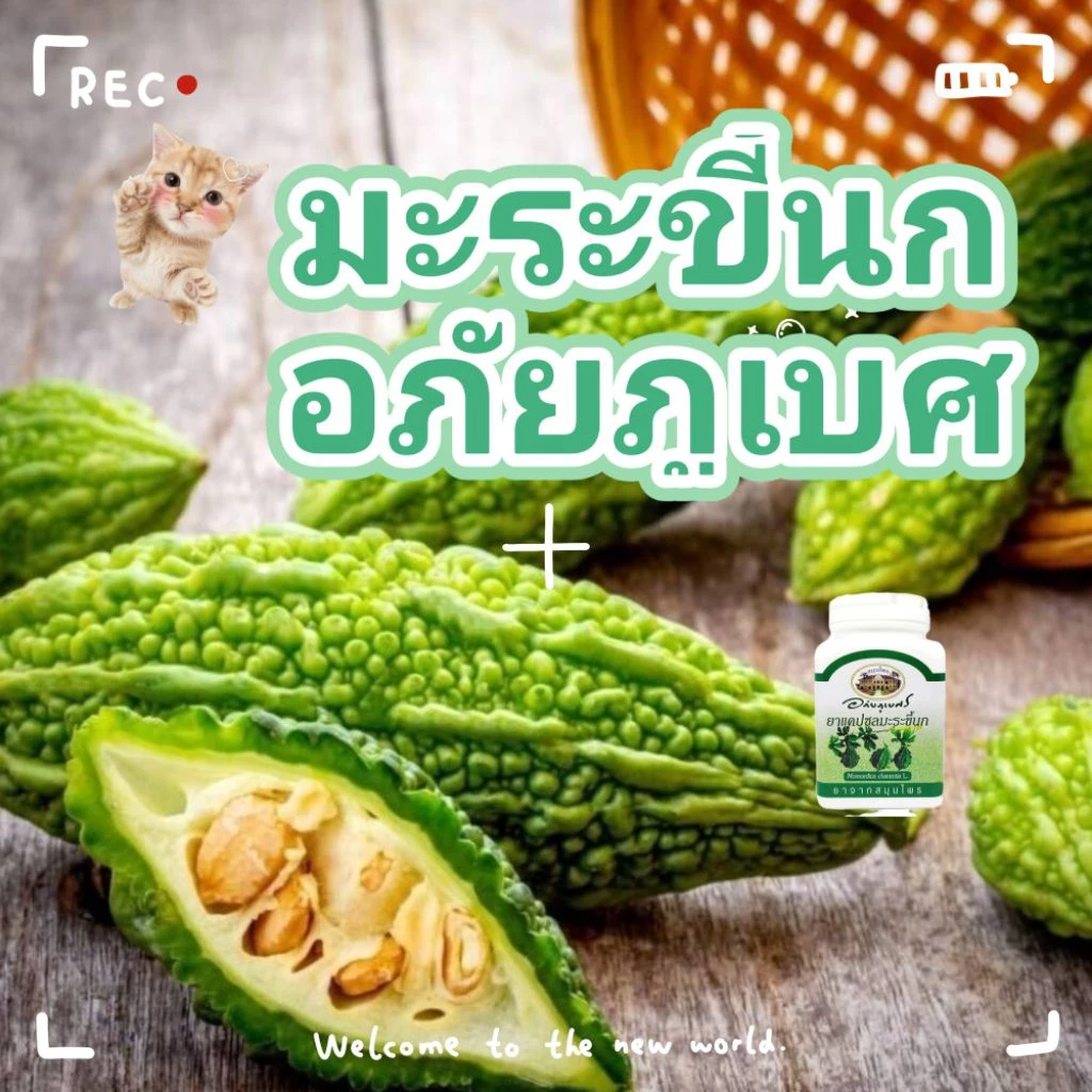 มะระขี้นก ผงมะระขี้นก อภัยภูเบศ