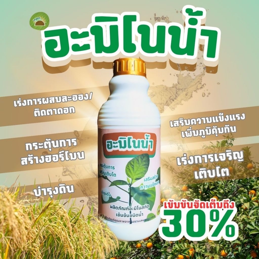 อะมิโน ชนิดน้ำเข้มข้น กระตุ้นฮอร์โมนพืช เร่งการผสมละอองเกสร และเร่งการเจริญเติบโต