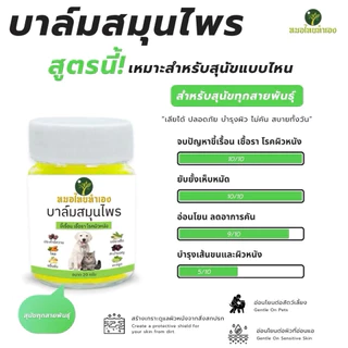 ครีมบาล์มสมุนไพร บรรเทาโรคผิวหนัง ขี้เรื้อนสุนัข แมว เชื้อรา ยีสต์ คันเกา (มี อย ถูกต้อง) 20 กรัม หมอไทยทำเอง
