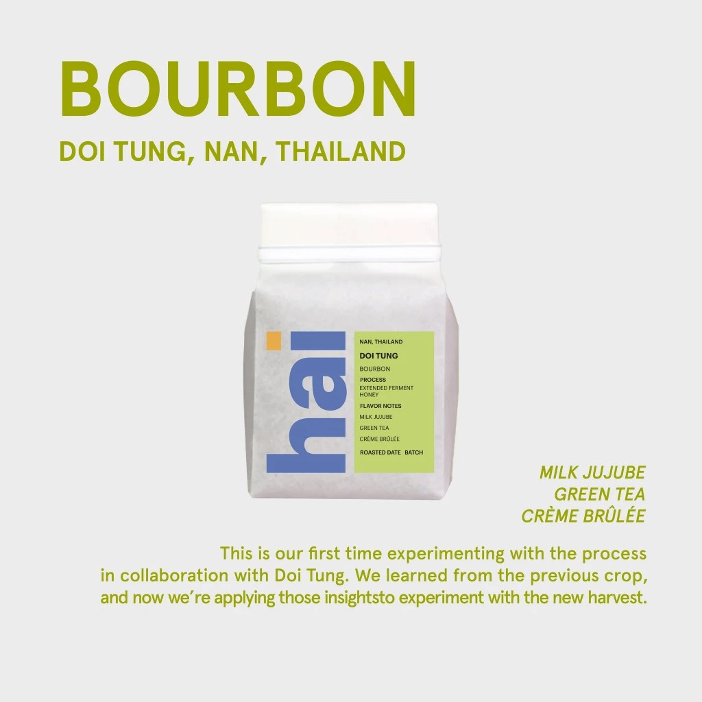 Hai Single Origin (กาแฟคั่วอ่อน) Doi Tung, Thailand (Light roast) Extended Ferment Honey Process