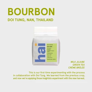 Hai Single Origin (กาแฟคั่วอ่อน) Doi Tung, Thailand (Light roast) Extended Ferment Honey Process